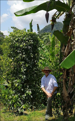 5 poivres de Kampot