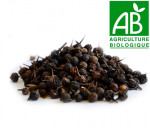 Poivre à queue BIO cubebe 100 gr