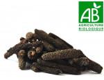Poivre long Bio 50 gr