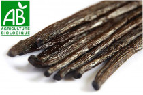 Vanille de Madagascar