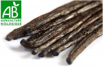 1 Gousse de vanille Madagascar BIO.