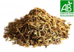 Graine de fenouil BIO 100 gr