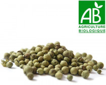 Poivre vert BIO lyophilisé