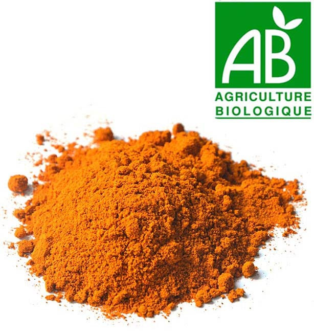 Curcuma bio