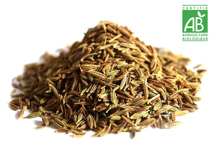 graine de fenouil bio