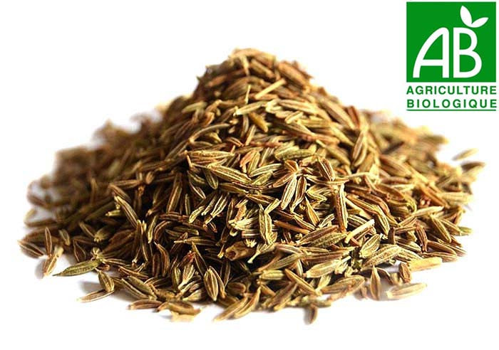 Graine de fenouil bio