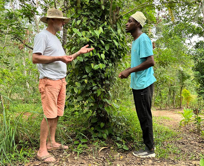 Poivre noir de Zanzibar bio