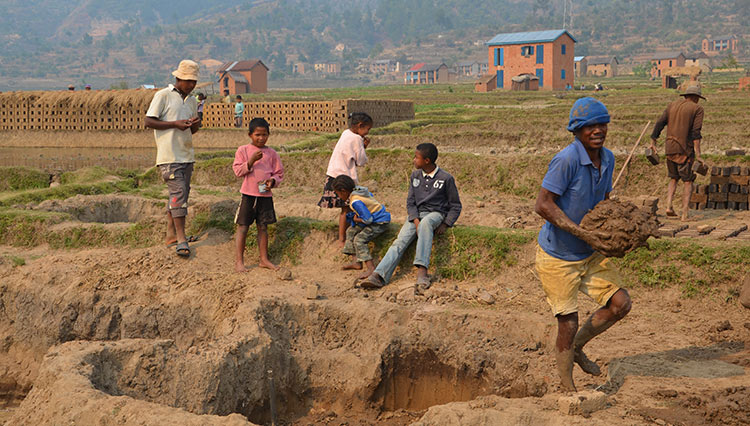 Terre de Madagascar