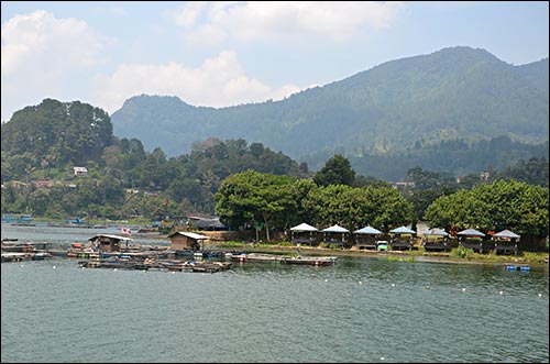 lac Toba poivre Andaliman